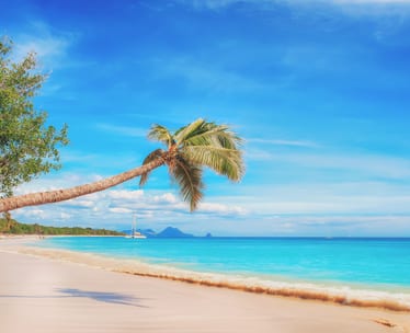 British Virgin Islands